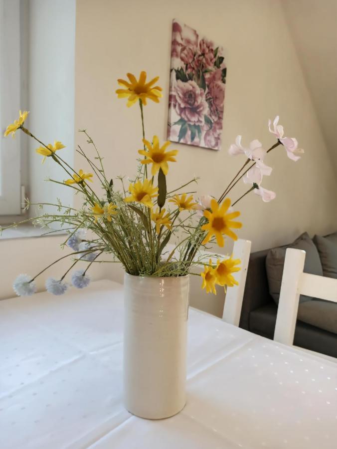Apartmany Ceska Kanada Cesky Rudolec Luaran gambar